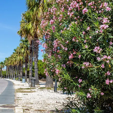 Sunichele Luxury Lejlighed